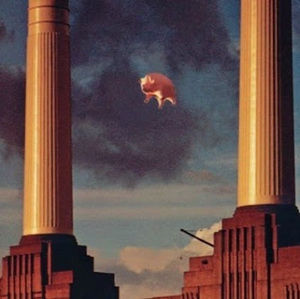 Meet your Posher, Corey